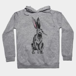 Hare Hoodie